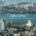 A Personal Journey with Grospal: Transforming Everyday Experiences