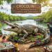 Crocolini: The Fascinating Fusion of Creativity and Conservation