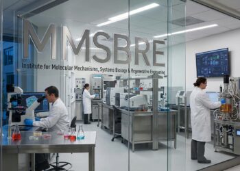 How MMSBRE is Revolutionizing Industry Standards and Practices