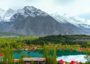 Camehoresbay: The Ultimate Destination for Nature Lovers and Adventurers
